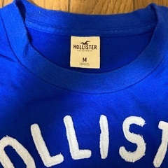 HOLLISTAR Tシャツ メンズMサイズの画像