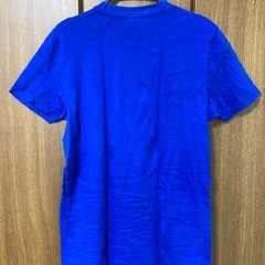 HOLLISTAR Tシャツ メンズMサイズの画像