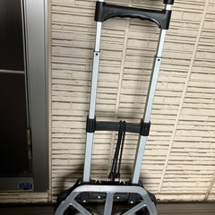 山善(YAMAZEN) 折りたたみ式ハンドキャリー コンパクト キャリーカート 軽量 アウトドア 伸縮ハンドル 引っ越し 静音 荷物 段差 GT-50W シルバーの画像