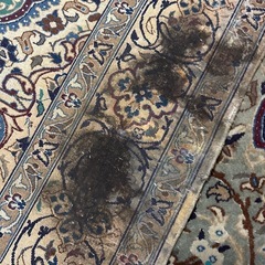 ペルシャ絨毯風？の画像