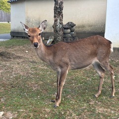 自営業についての相談