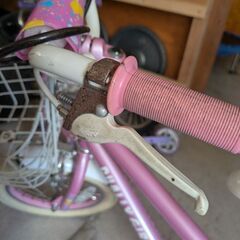 小さいお子さんに自転車どうですか？の画像