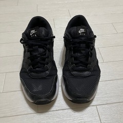 NIKEシューズの画像