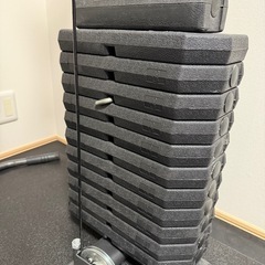 ボディーメーカーホームジムでらDXの画像