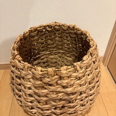 観葉植物、ラタン籠の画像