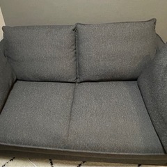 コアラ　ソファーベッド CUSHY  2人掛けの画像