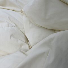 NITORI ニトリ２枚合わせ羽毛掛け布団　１枚でも２枚合わせでも使える♡ ダウン　170x210cmの画像