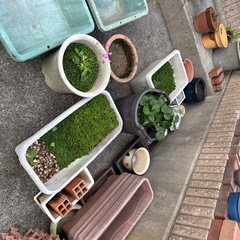 【無料】ガーデンニング、植木、陶器の画像