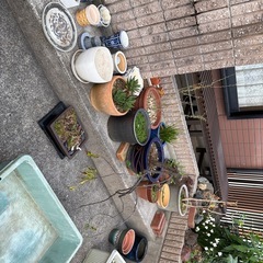 【無料】ガーデンニング、植木、陶器の画像