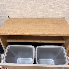 ゴミ箱 アイリスオーヤマ 15L×2の画像