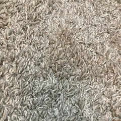 ラグカーペットの画像