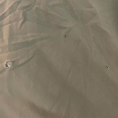 【譲渡先決定】ビーズクッションの画像