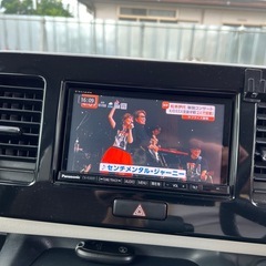 とても綺麗なモコです。ありがとうございました。の画像