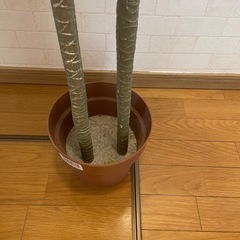 フェイクグリーン　　高さ180㎝の画像