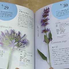 【花言葉本】366日の美しい誕生花の画像