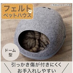 猫ハウスの画像