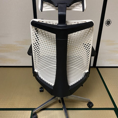 サリダチェア YL9の画像