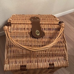 コストコで買ったカゴバック(保冷)の画像