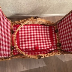 コストコで買ったカゴバック(保冷)の画像