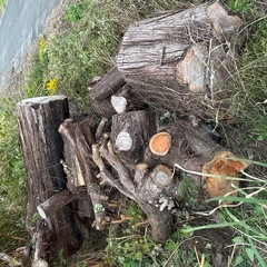 薪にどうでしょうか？の画像