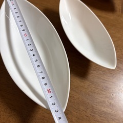 お皿大小
の画像