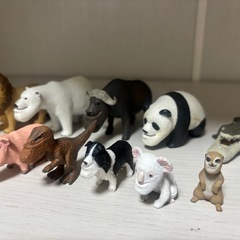 シャクレルプラネット13個セットの画像