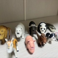 シャクレルプラネット13個セットの画像