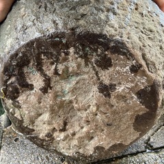 臼（つくばい）の画像