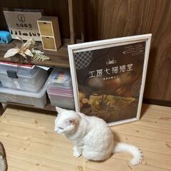 🌸工房 七福猫堂｜癒やしと縁起の手作り御朱印帳・カレンダー・言葉遊びの画像