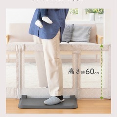 ゲート、とおせんぼの画像