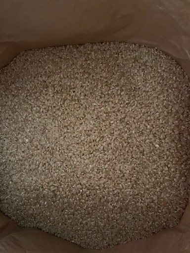  令和7年産　新米
コシヒカリ玄米　30kg  