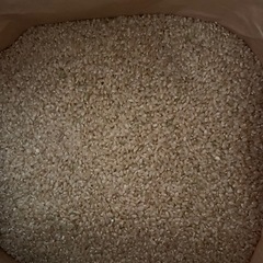 限定2袋 　コシヒカリ玄米　30kg  の画像
