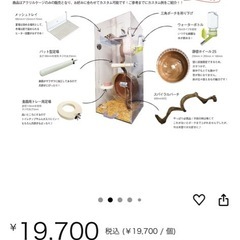 モモンガアクリルケージの画像