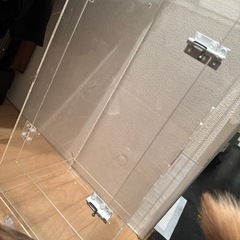 モモンガアクリルケージの画像