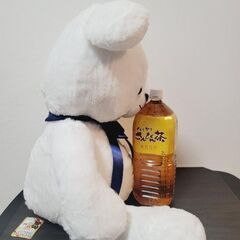 くま おすわり BIG ぬいぐるみの画像