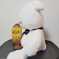 くま おすわり BIG ぬいぐるみの画像