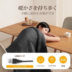 電気毛布　電気ブランケットの画像