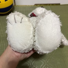 クマの人形の画像