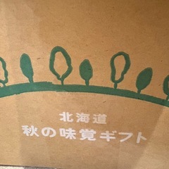 【受け渡し者決定】10/21 8:30-9:30で引き取りできる方、早い者勝ち　玉ねぎ じゃがいも 新鮮 とれたて の画像