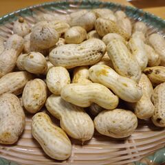 おおまさり（生落花生）500gの画像