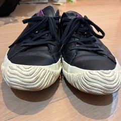 スピングルムーブ　スニーカー　LLの画像