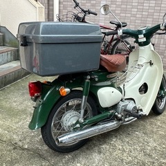 カブの画像