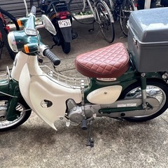 カブの画像