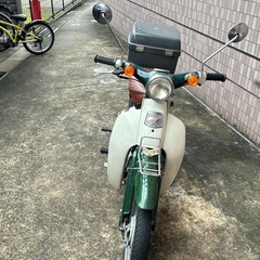 カブの画像