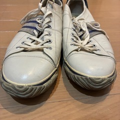 スピングルムーブ　白　LLの画像
