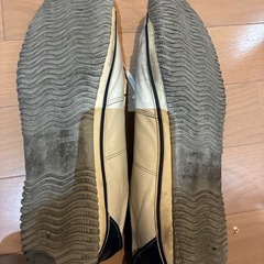 スピングルムーブ　白　LLの画像