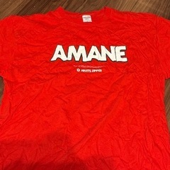 FRUITS ZIPPER　月足天音グッズの画像