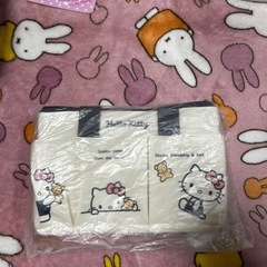 ハローキティフタ付きキャリーBOxXの画像