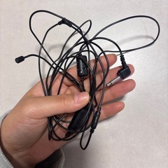 カーナビ、テレビ、ゴリラ　の画像