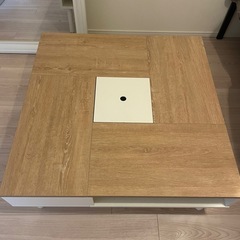 【商談中】WAMPATローテーブルの画像